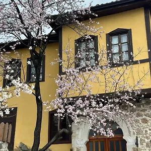 Nesti Inside Of Castle Hotel